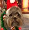 trudymaynard